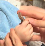おやつを持っている赤ちゃんの手