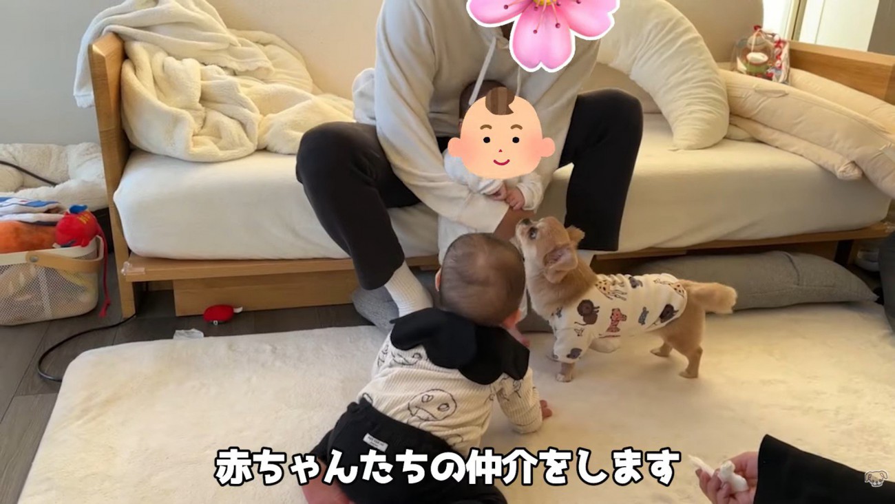 ハナちゃんと赤ちゃんたちの交流8