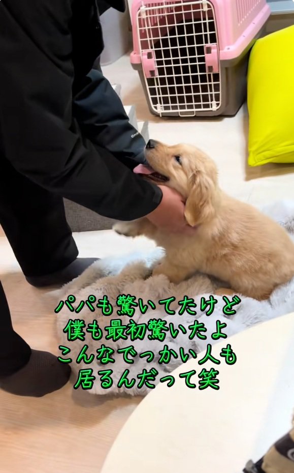 無邪気なかんくろう君