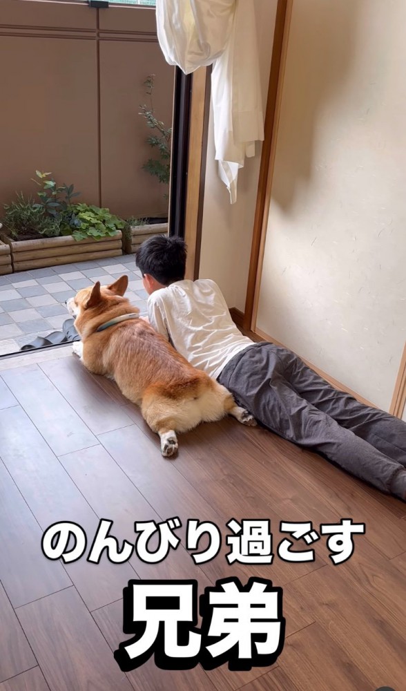 同じポーズで寝そべる男の子と犬