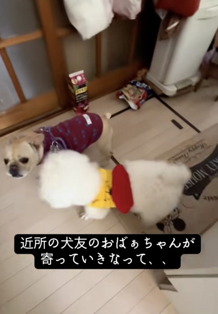 「おじゃましまぁす！」