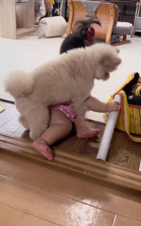 「これは僕の！！」