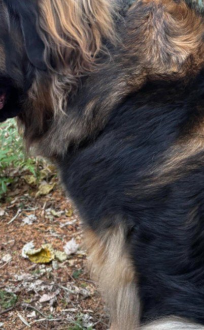 お散歩していたら…