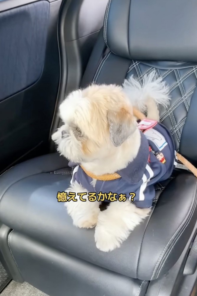 車でお店に向かいます