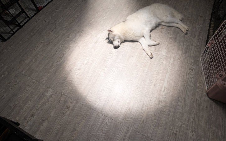 これって…まさか…？