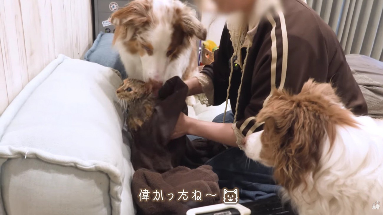 「僕が乾かす！」