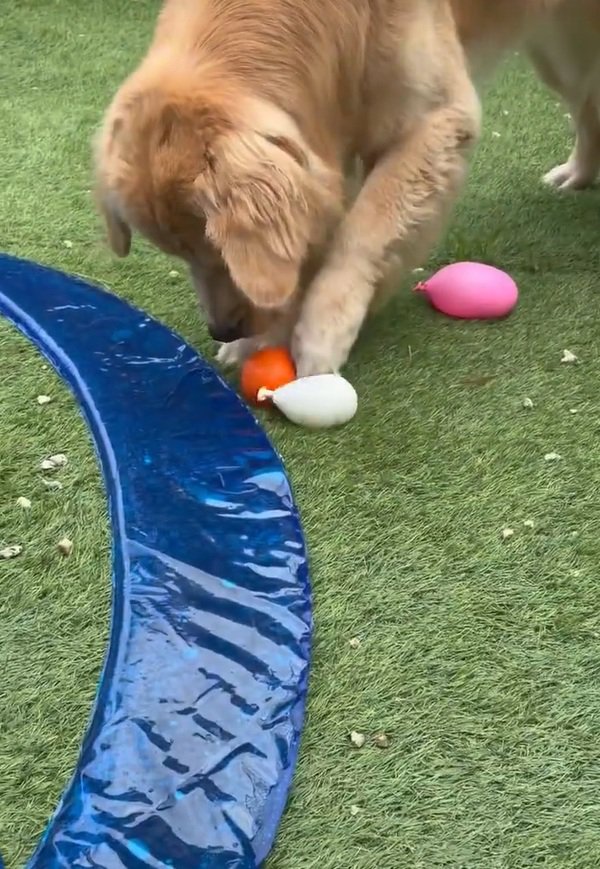 水風船がこわいごん君