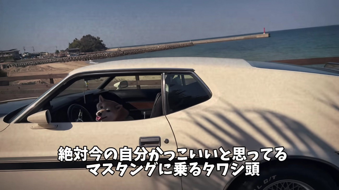 「僕、かっこいいでしょ？」