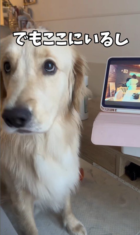 困惑する麹くん7