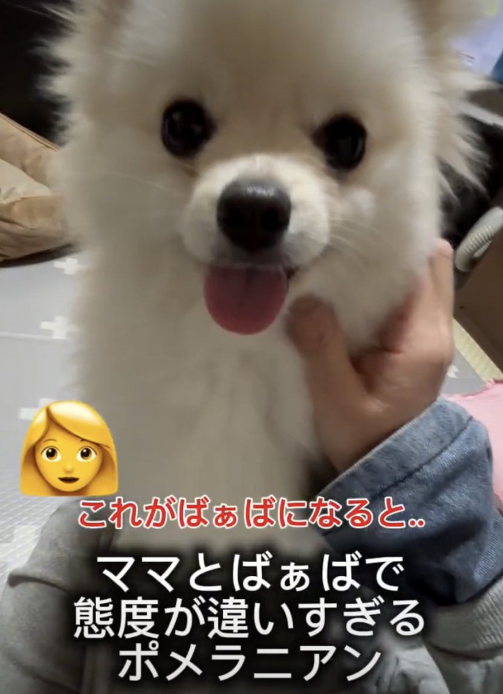 ママのナデナデ