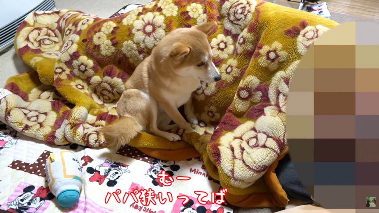 「狭いよ！」と不満そうなお顔