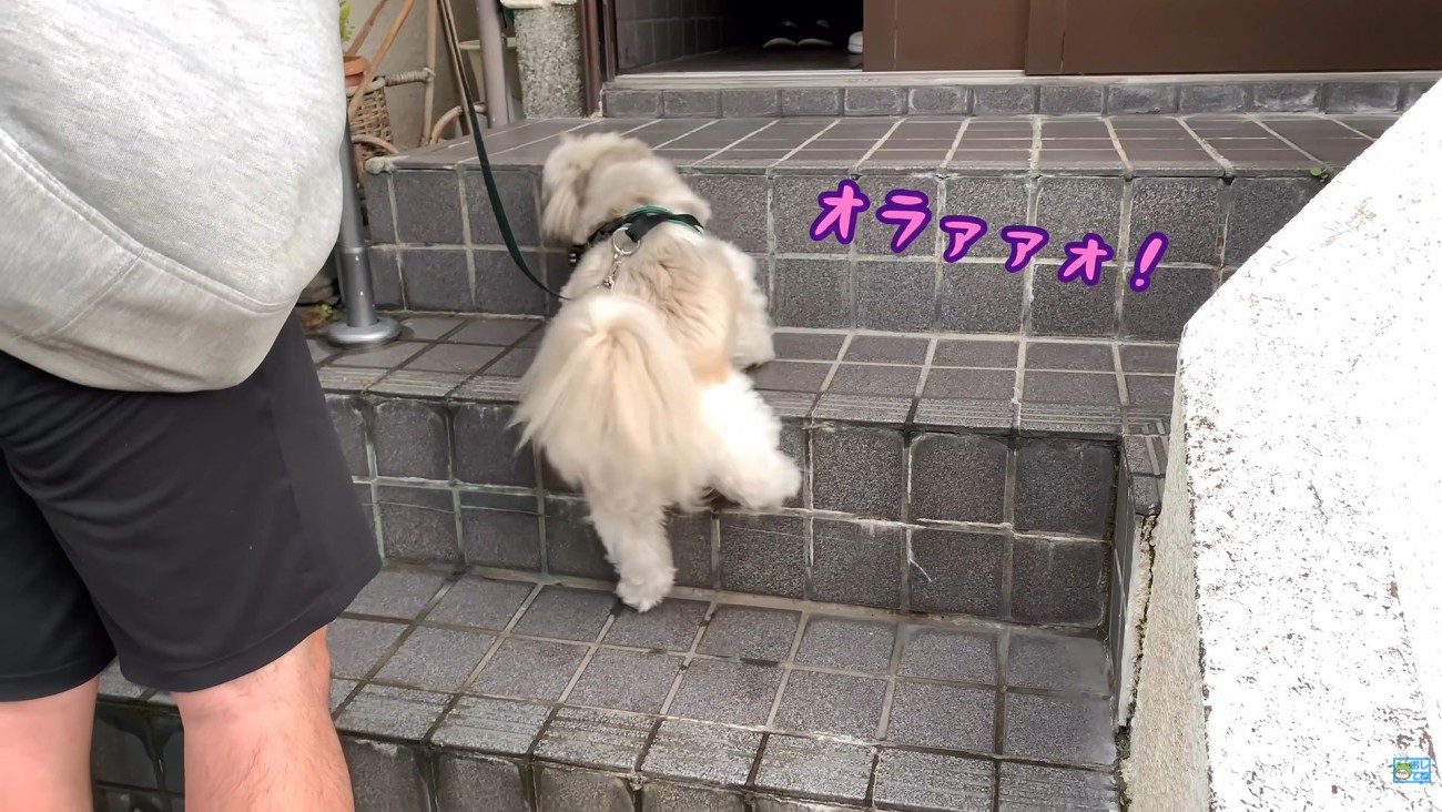 一生懸命階段を登って…