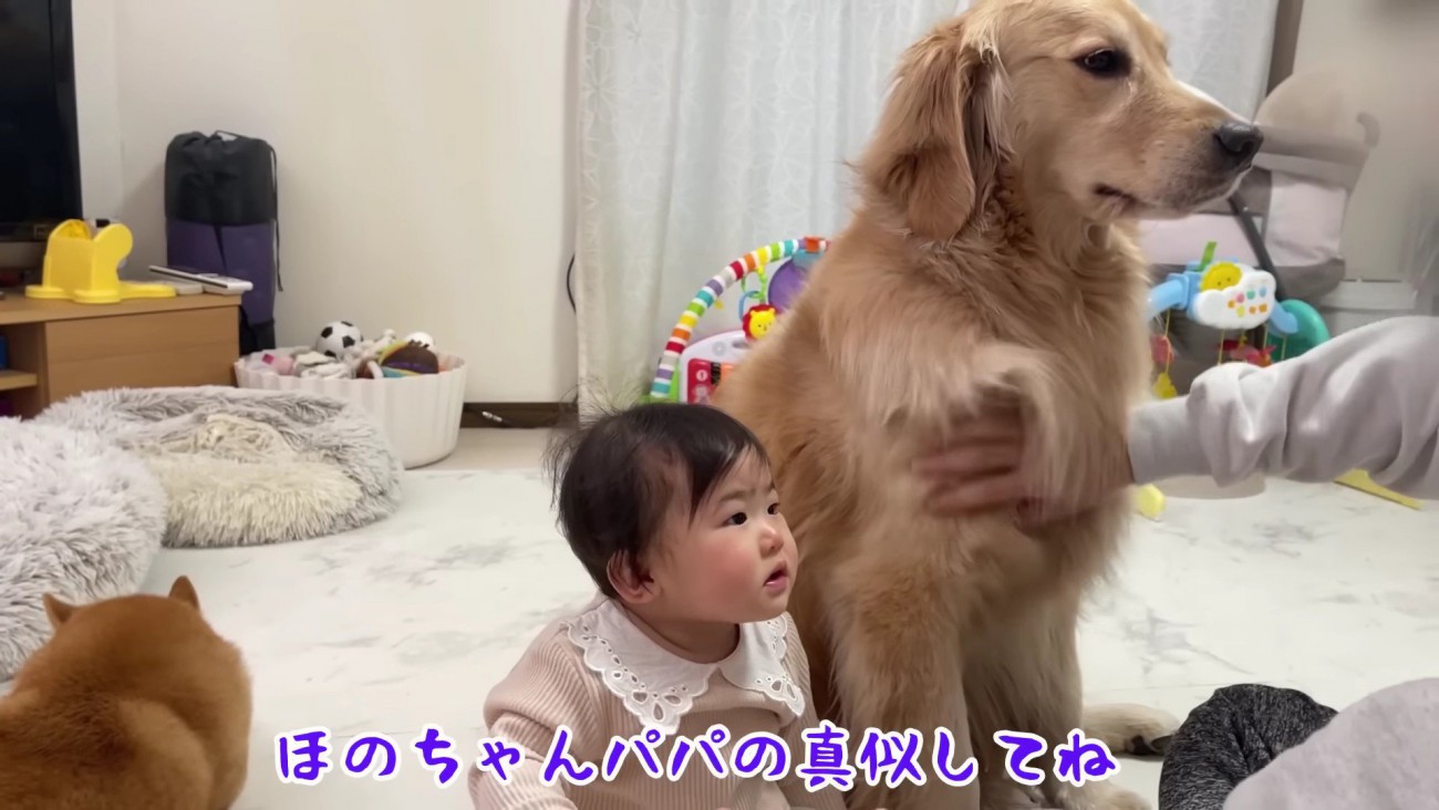 真似っ子できるかな？