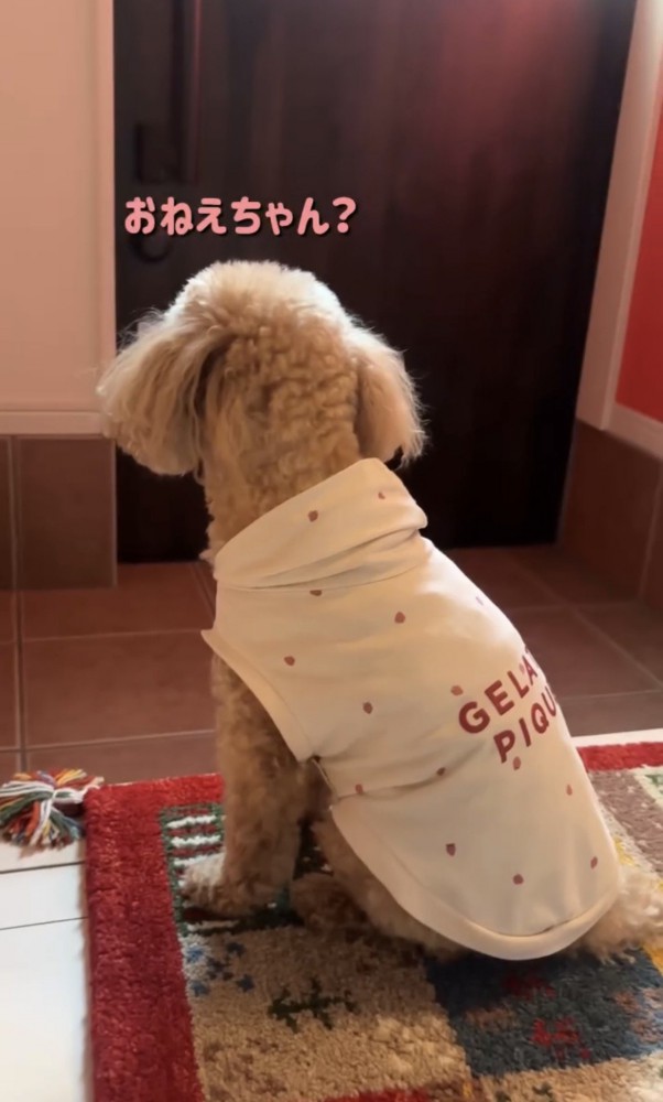 玄関の扉を見つめる犬