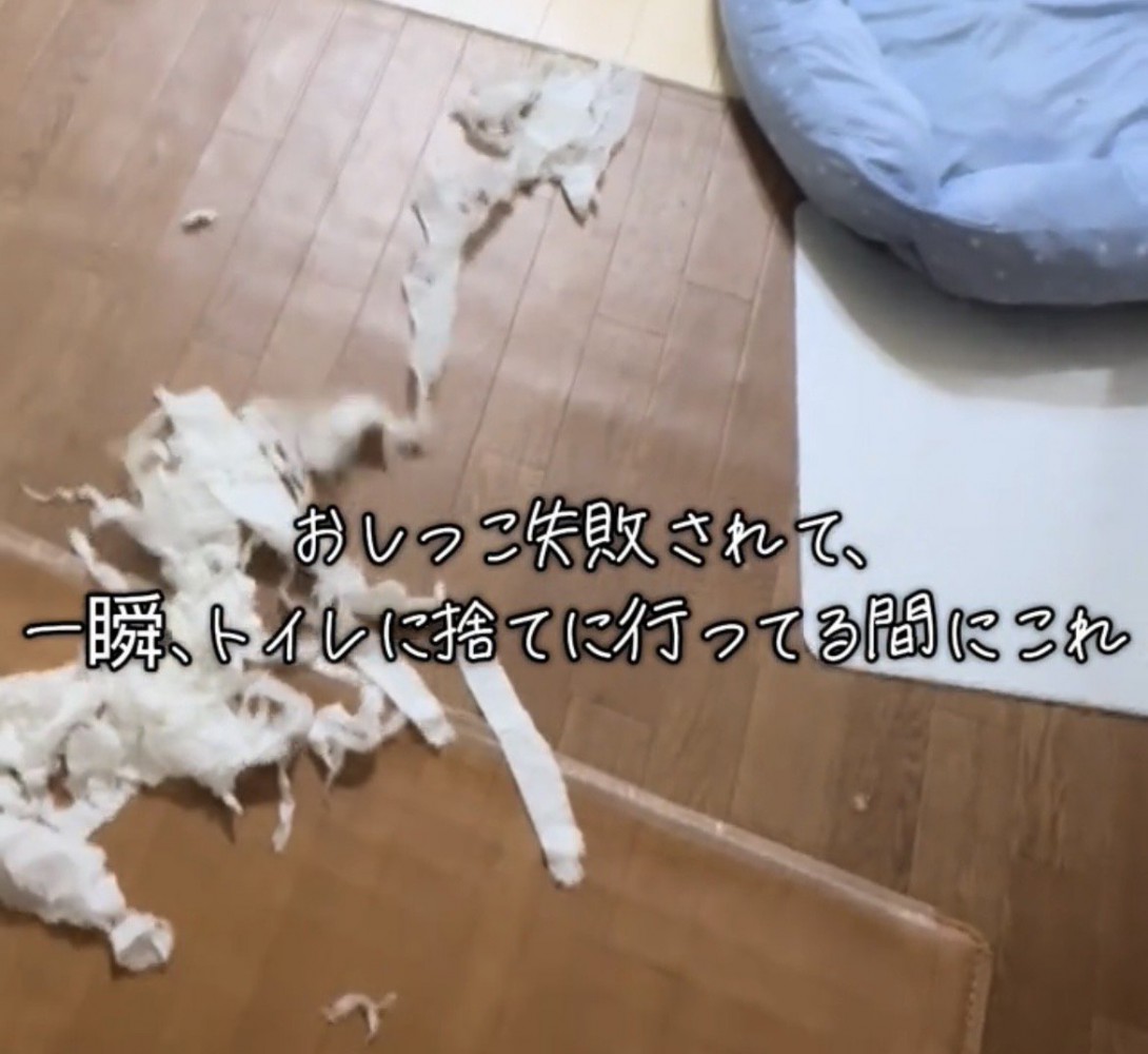 紙の残骸だけが残る部屋の一角