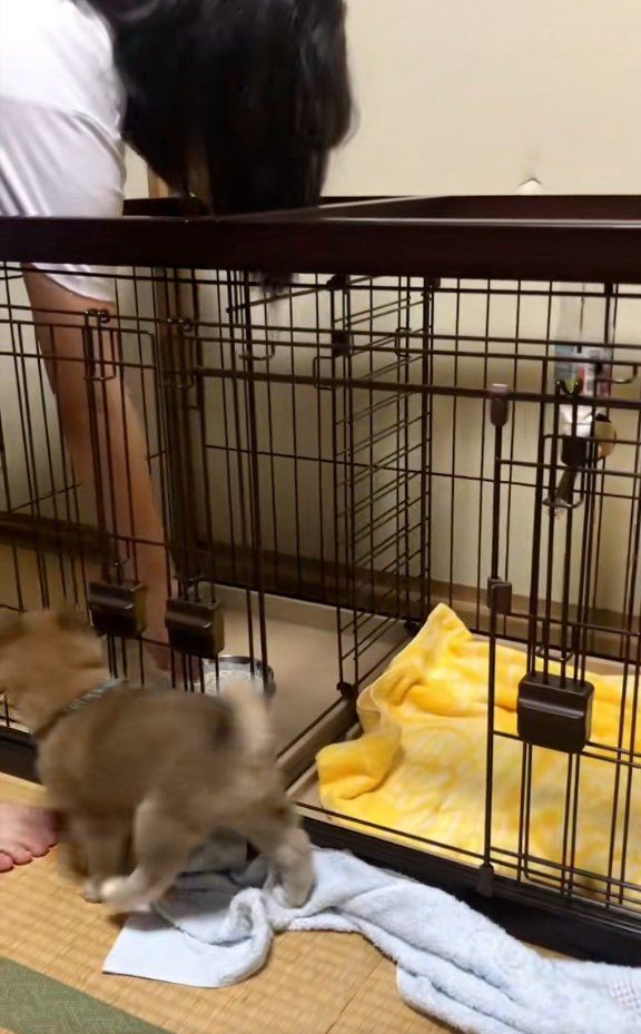 ご飯にたどり着けない福ちゃん