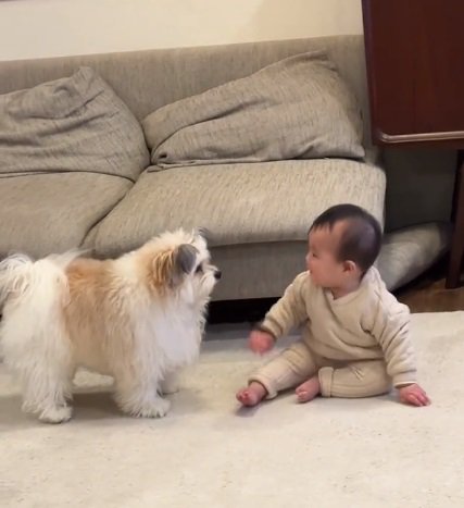 見つめ合うふたり