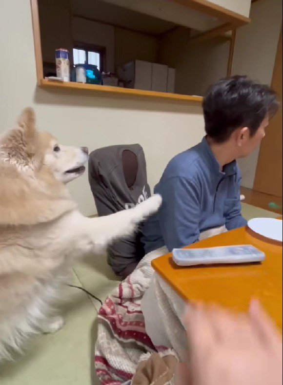 「これでいい？」