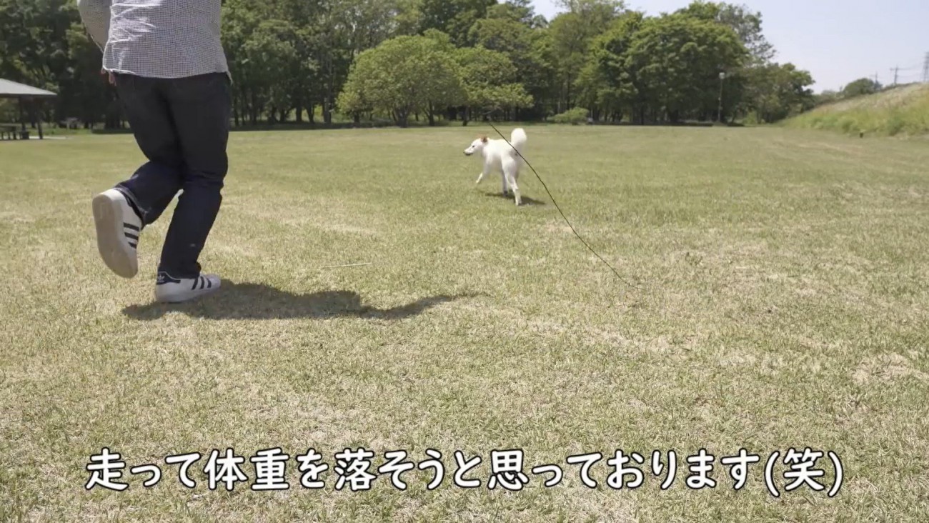 飼い主さんと一緒にダッシュ！