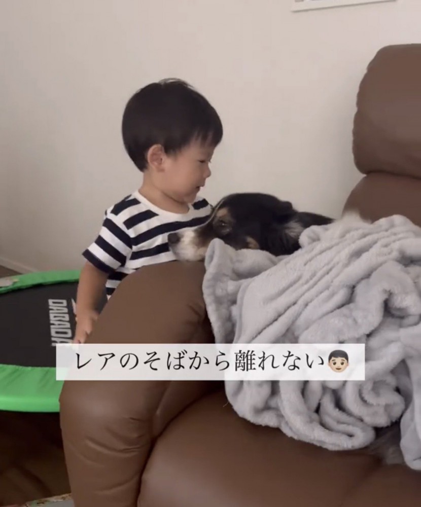 犬のそばで顔を近づける子ども