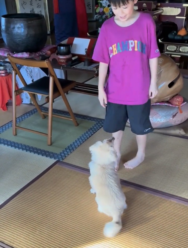 人の前にいる犬