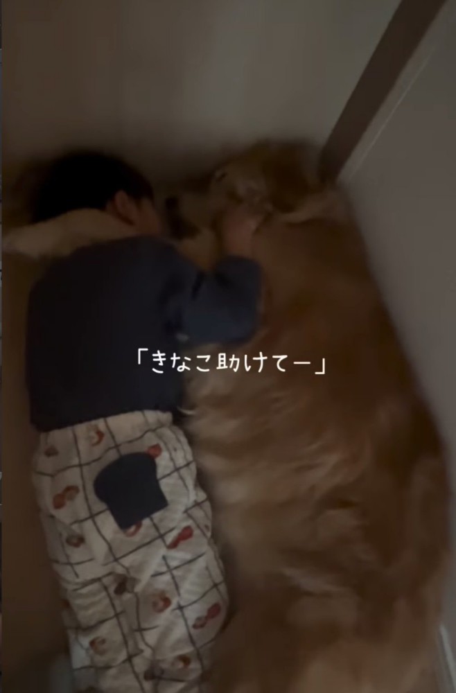 男の子を抱きしめる大型犬2