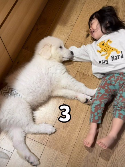 同じくらいの大きさ