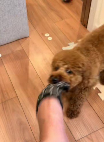 可愛い日課にホッコリ♡