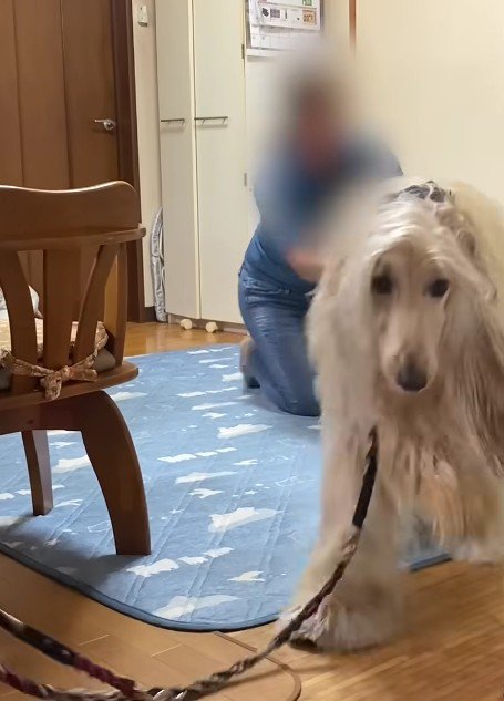 すぐに背中を押したら…