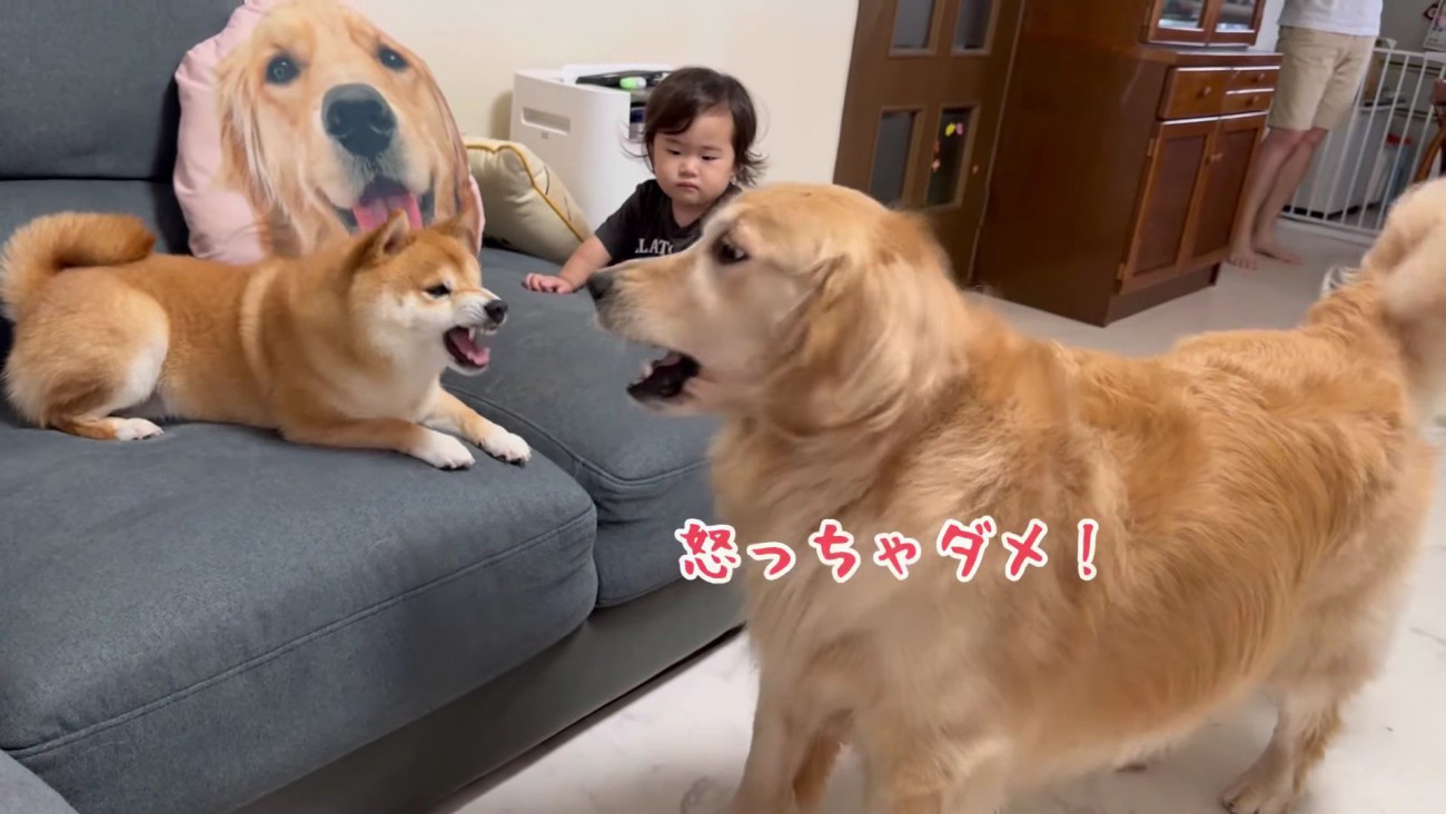 「だって寝てたから！」