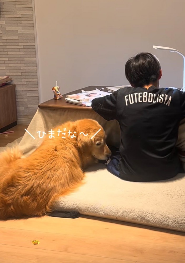 隣に座る犬2