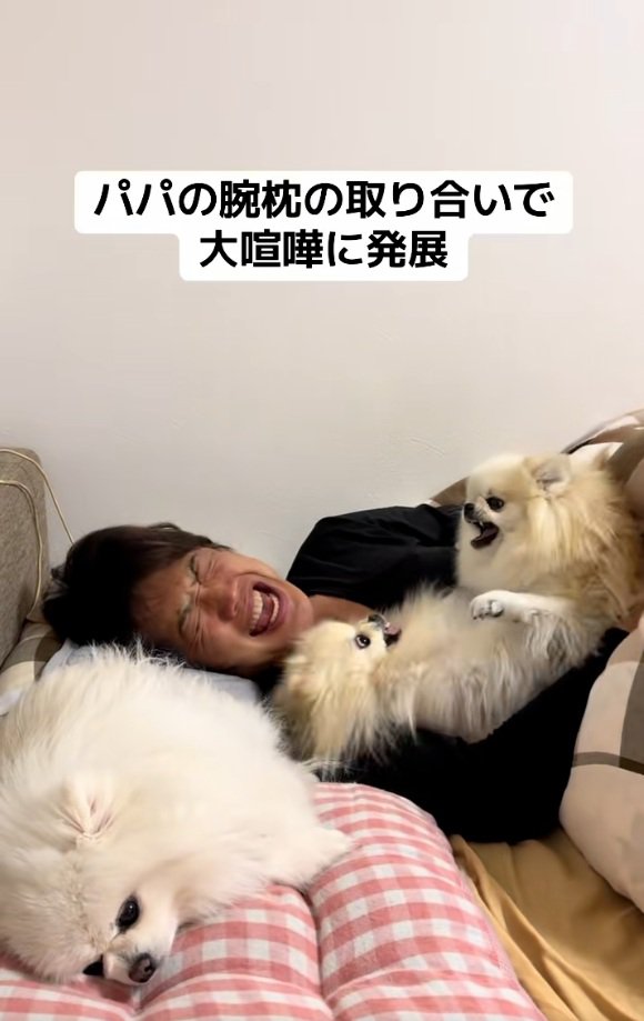 エスカレートする2匹