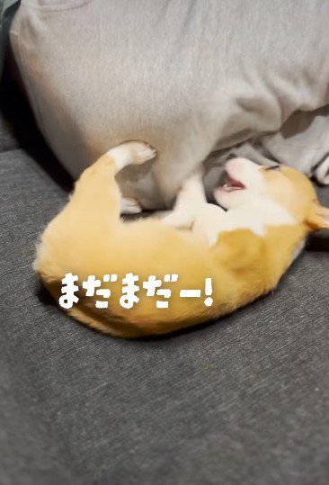 怒りが収まらない