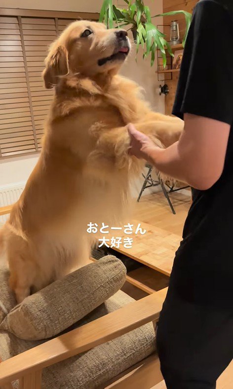 パパさんに甘えるモッシュくん3