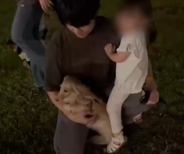 犬夜市