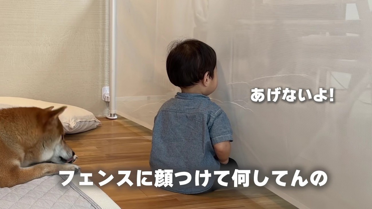 「絶対にあげない！」