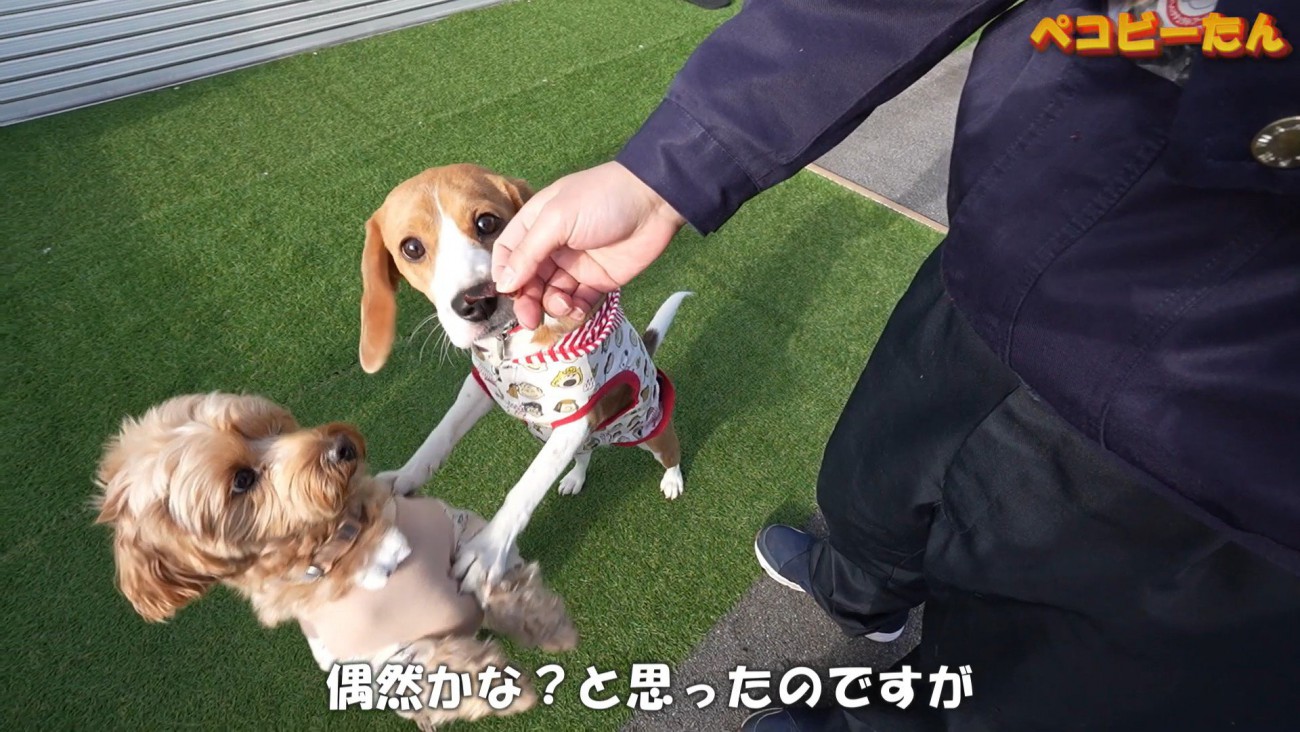 押しのけています（笑）