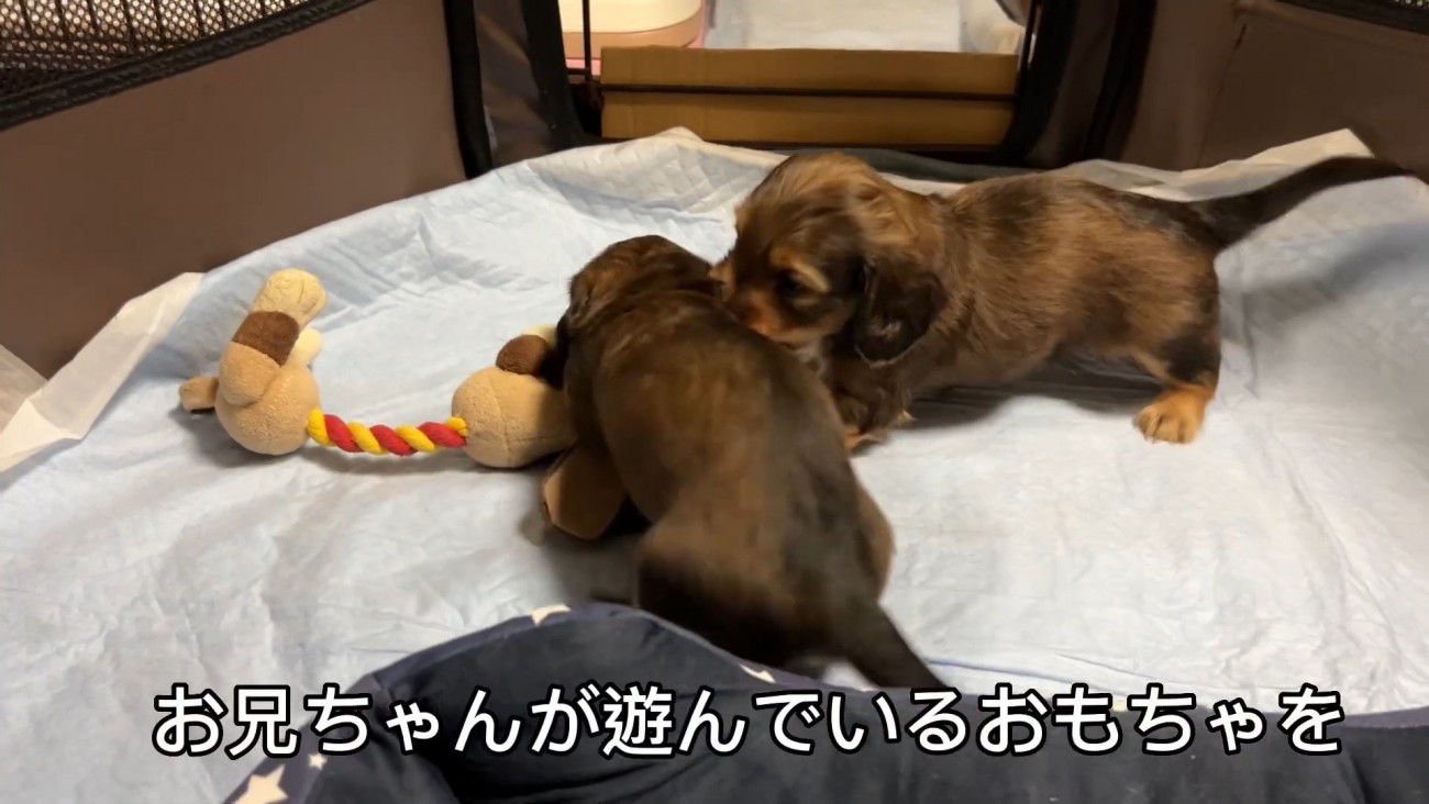 おもちゃを取られていじけるジャンボくん2