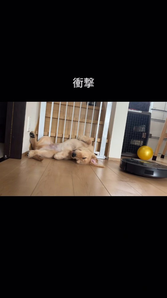 右側から入ってくるルンバ