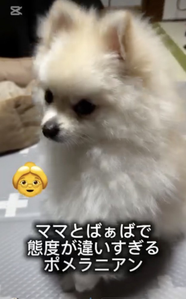 あからさま！！