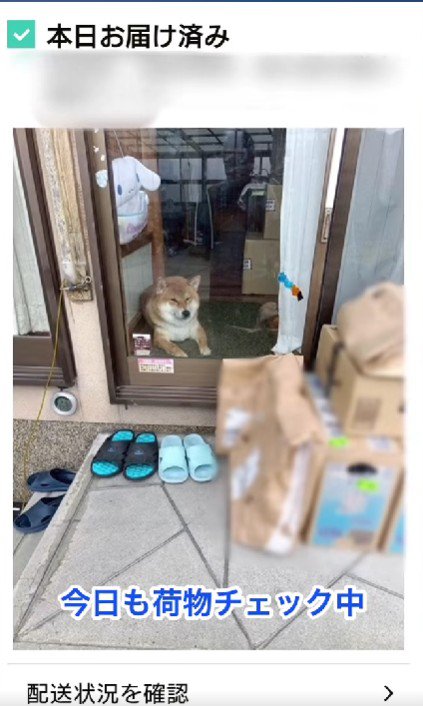 荷物以上に目立ってる！！