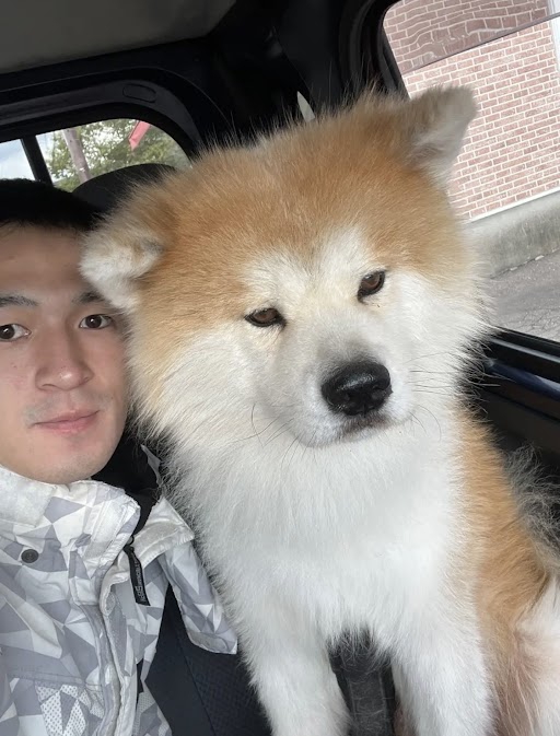 人の隣に座る犬