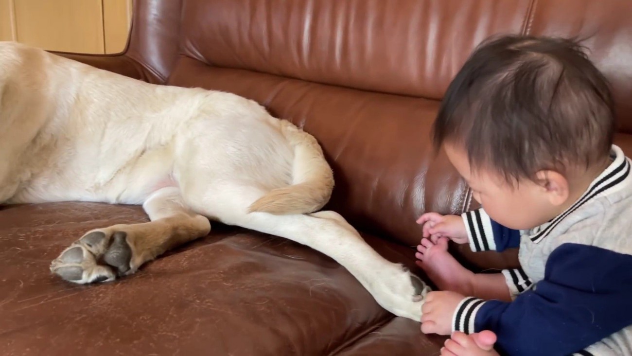 「子供はこんなもの…」