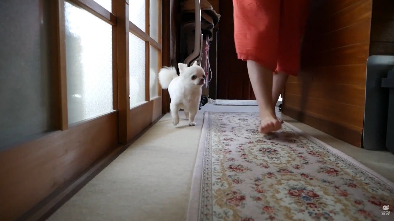 ママさんについて行ったかと思いきや…