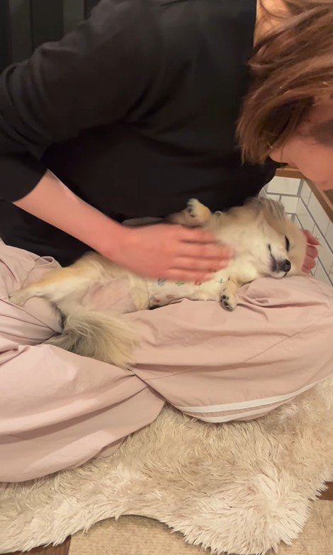 こはくちゃんとお姉ちゃんの再会7