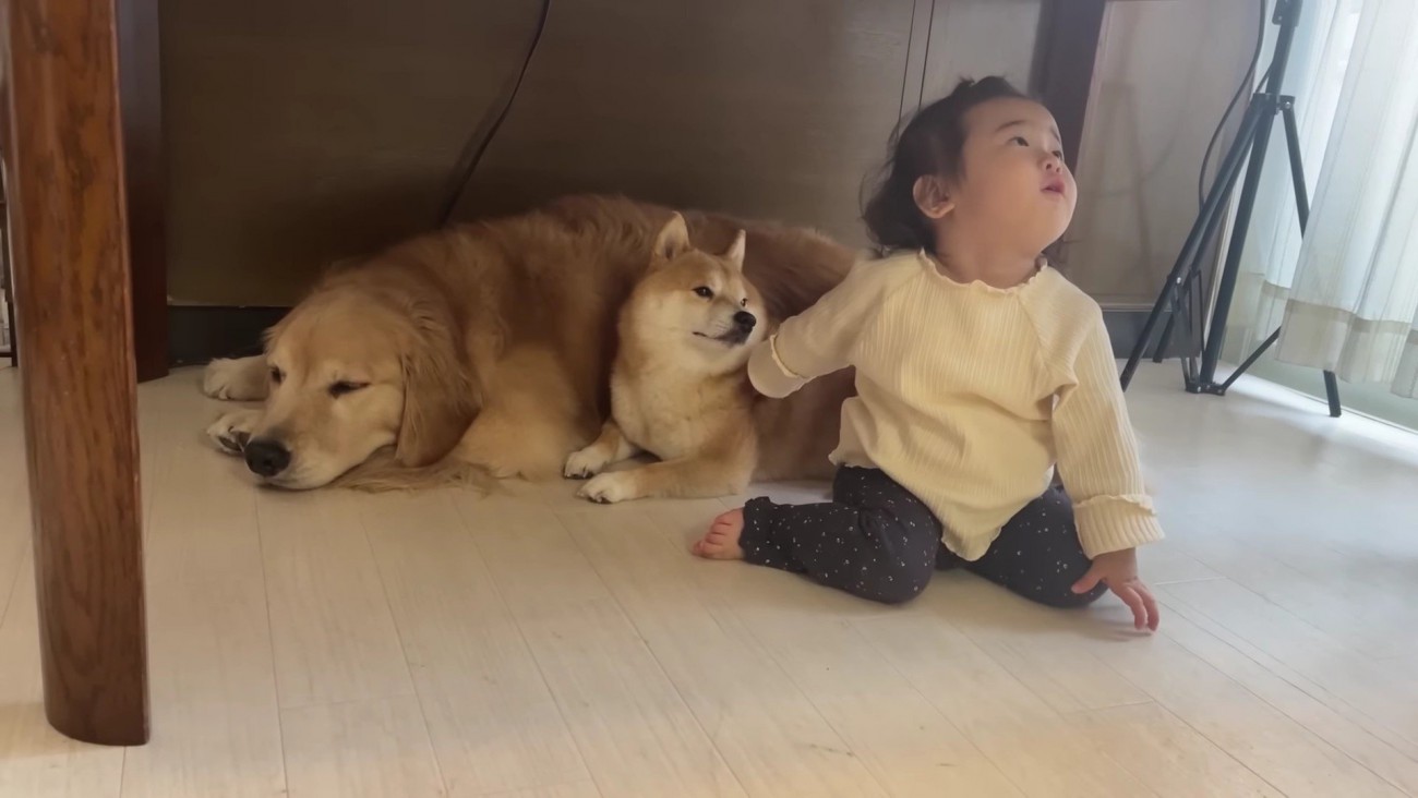 「うにくんかわいいよ」