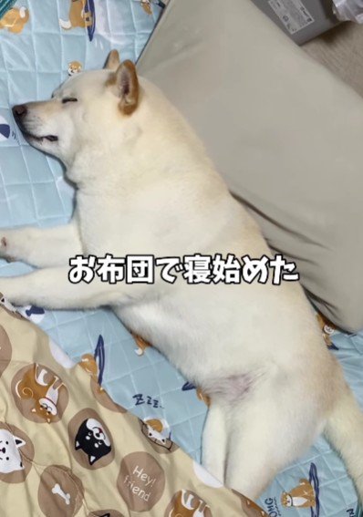 「やっぱりここが一番」