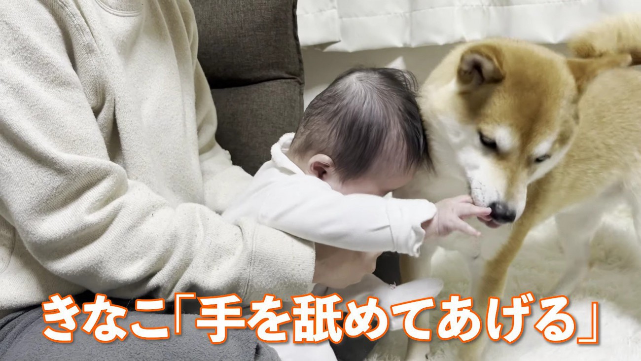 娘さんの手をペロペロ