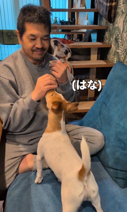 どんなコマンドも逃さずクリア！