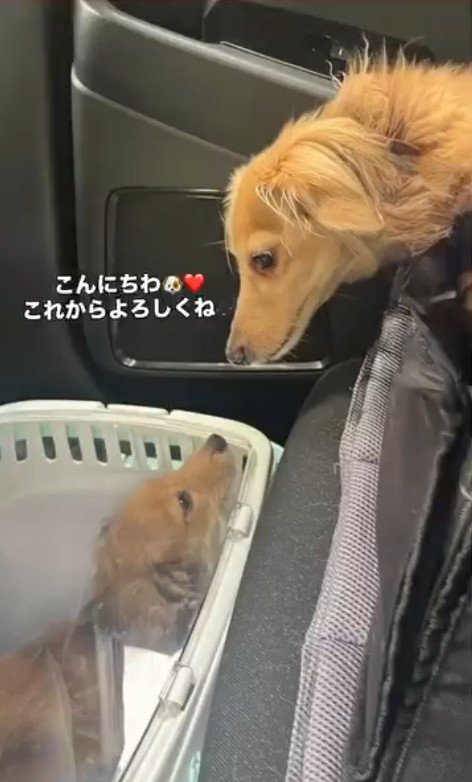 うみちゃんと出会った日の様子